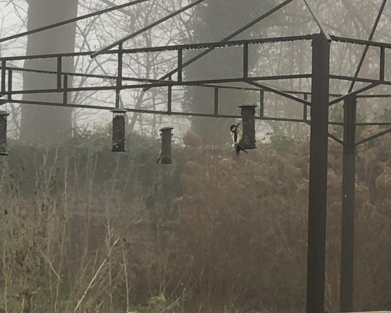 Accueil de la faune